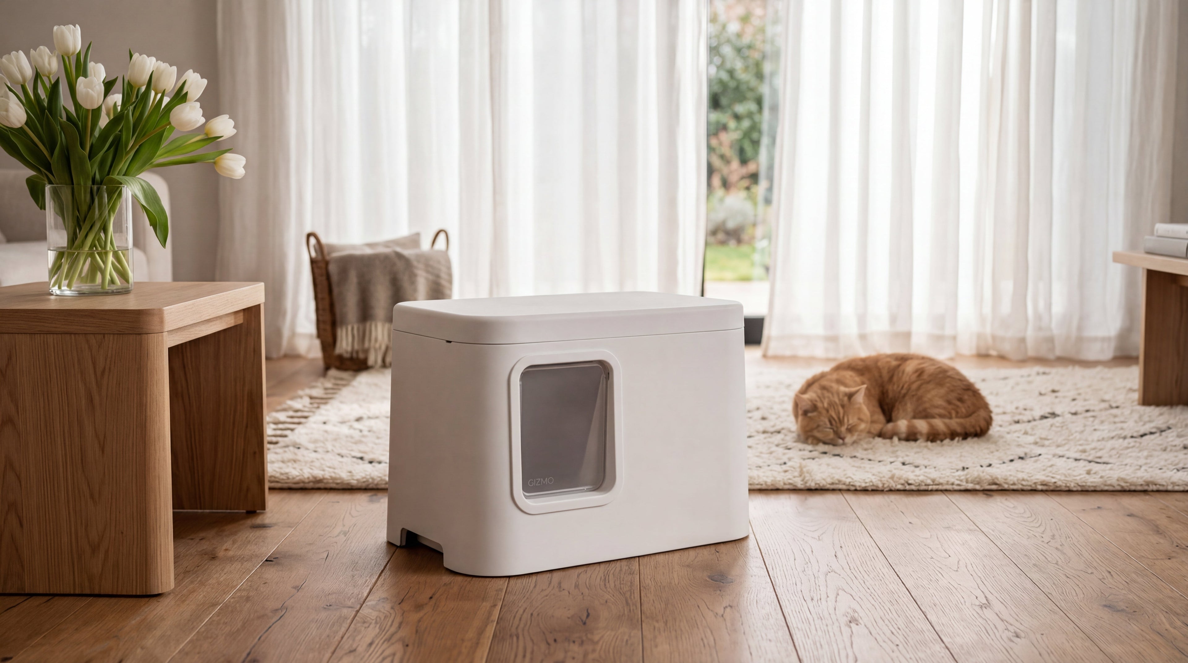 closed flat top, front entry flap, tulips, ginger cat on the rug 