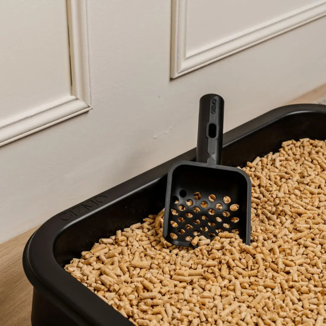 GIZMO Litter Box - Black Deluxe Essentials - scoop in litter box