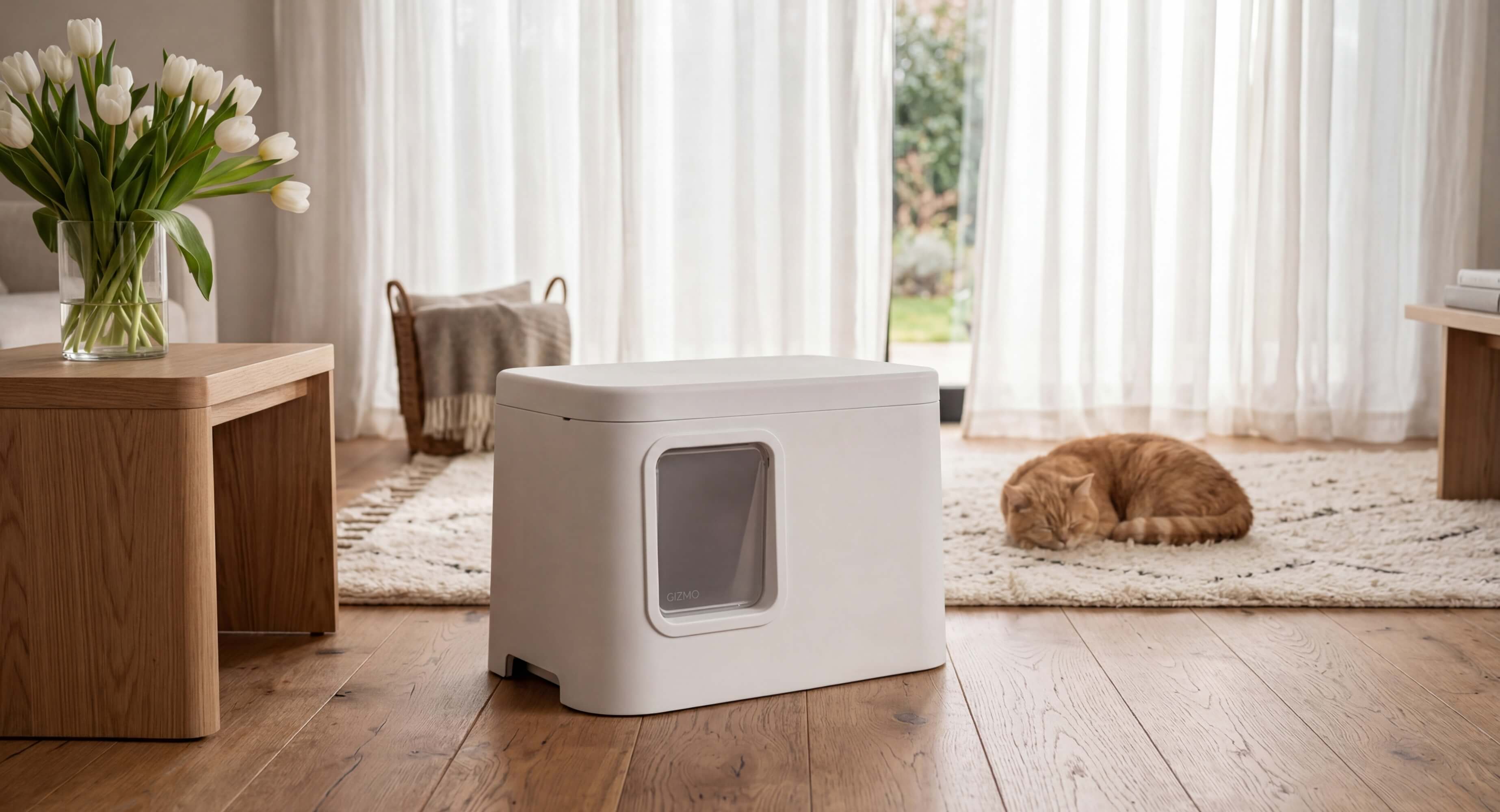 White litter box in a living room with a cat and flowers
